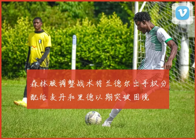 森林狼调整战术将兰德尔出手权分配给麦丹和里德以期突破困境